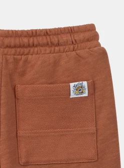 Sergent Major Bermuda-Bermuda Orange