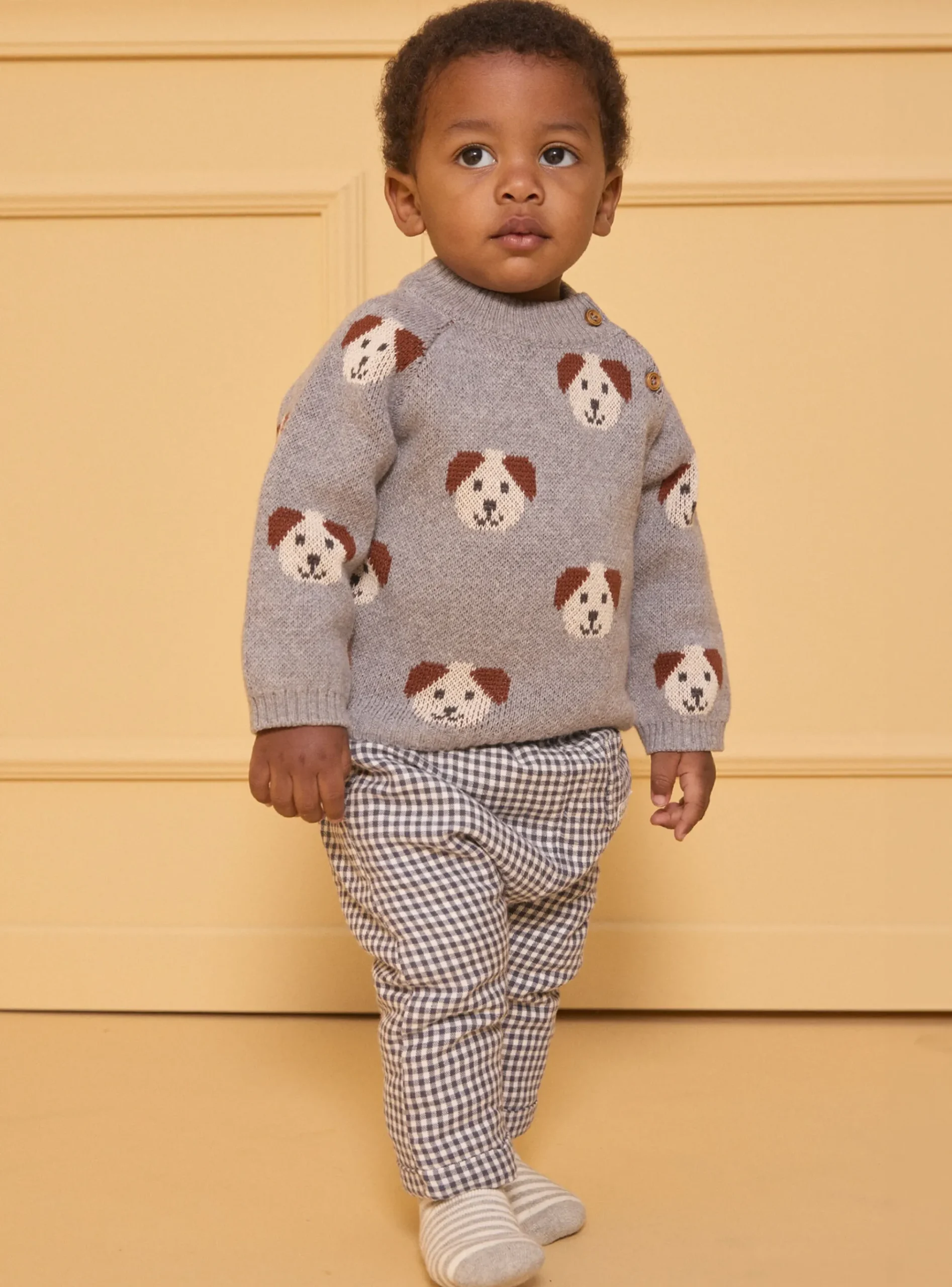 Sergent Major Pull, Gilet & Cardigan-Pull jacquard chiens