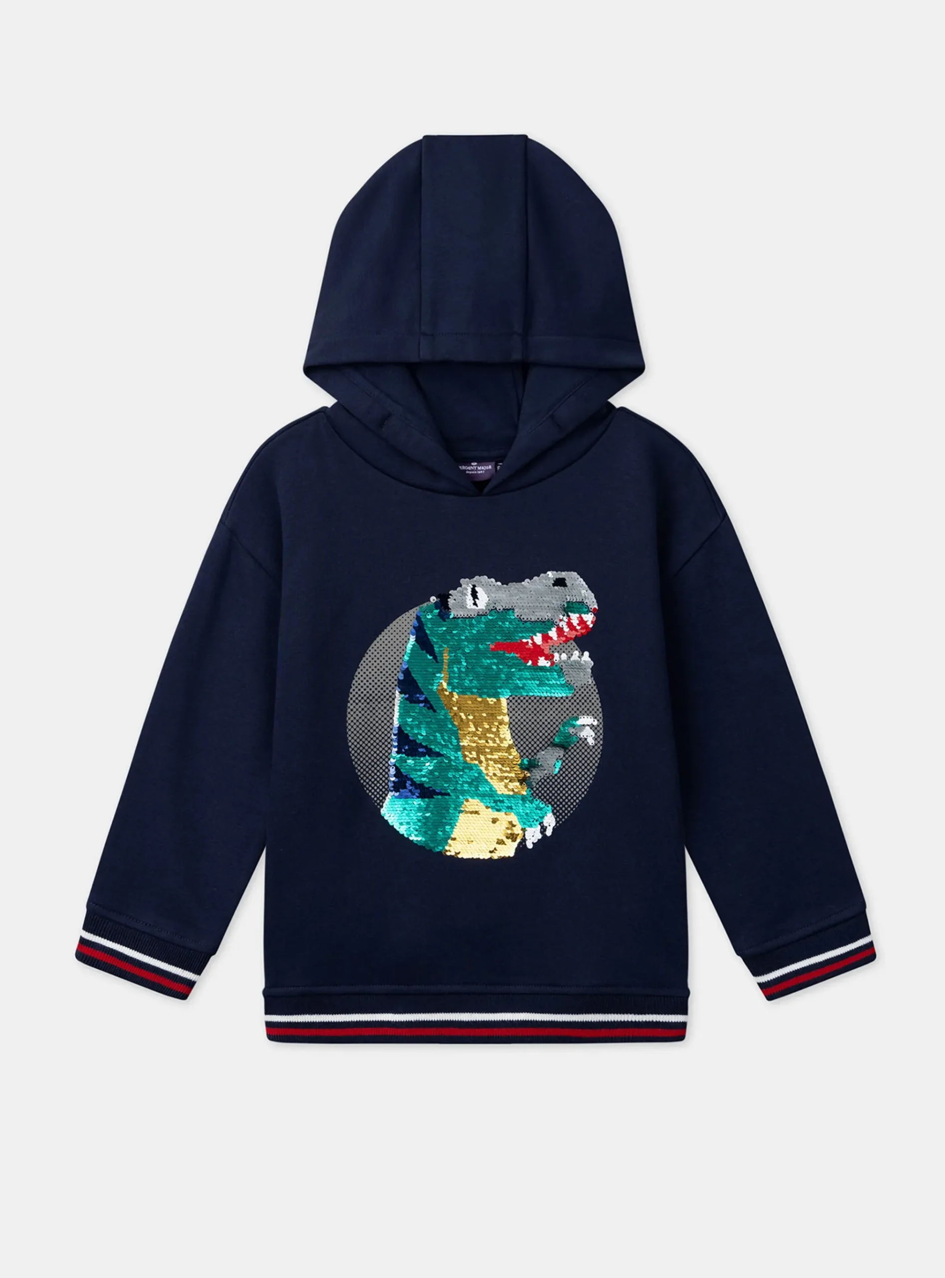 Sergent Major Pull, Gilet & Sweat-Sweat à capuche Dinosaure