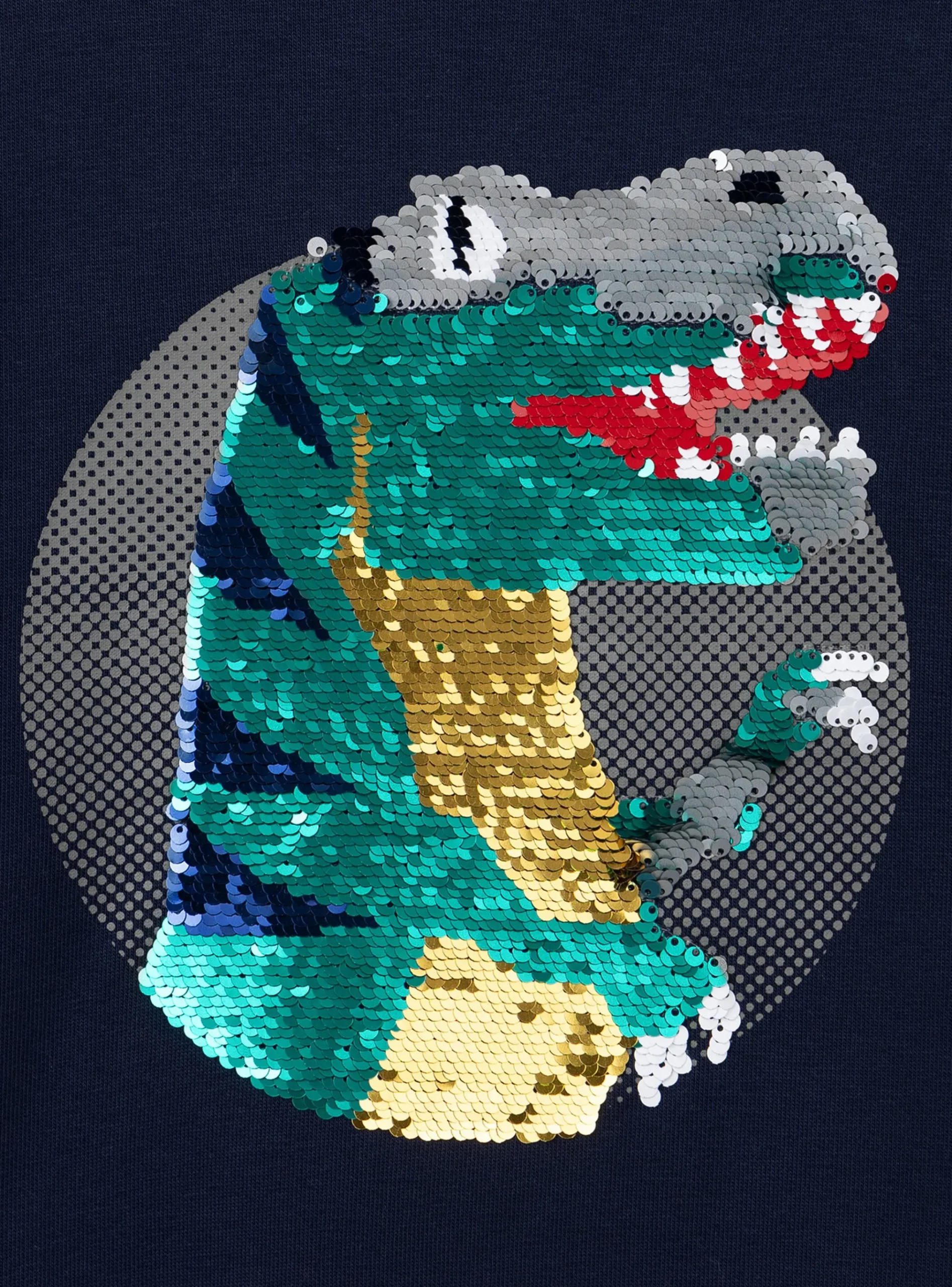 Sergent Major Pull, Gilet & Sweat-Sweat à capuche Dinosaure